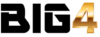 Big 4 Accounting Firms logo
